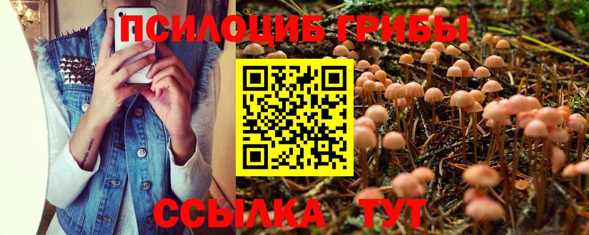 купить наркотик  Вход с VPN  Барабинск  Псилоцибиновые грибы Magic Shrooms 